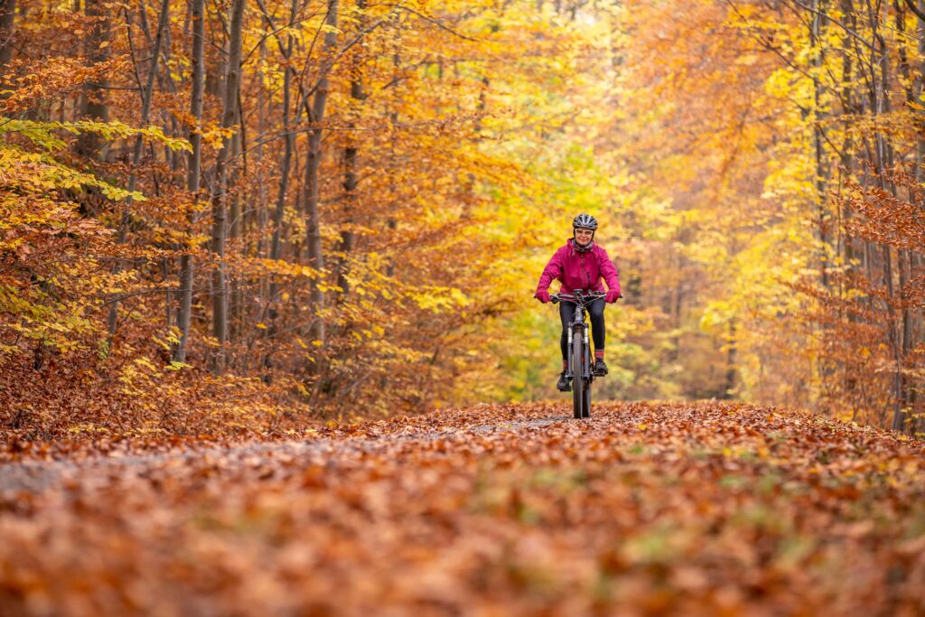 Žena bicykluje v lese na jeseň
